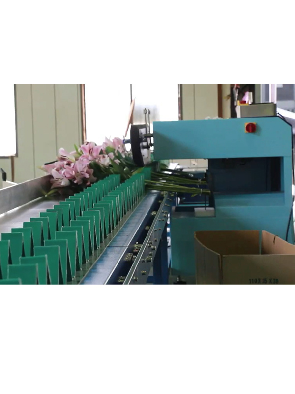 農畜牧生技化工機械設備:花卉捆束機-花卉捆束機
